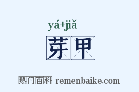芽甲是什么意思的图片